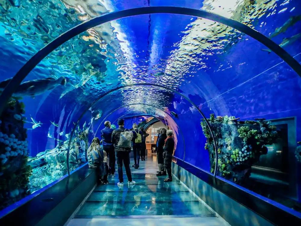 Dubai Aquarium Underwater Zoo