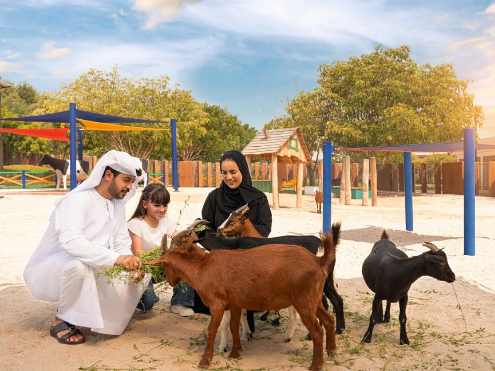 A family feeding goats at Dubai Safari Garden.