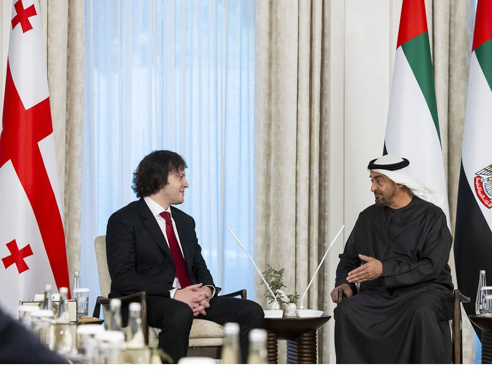 Media coverage of UAE President visit to Georgia highlighting diplomatic ties.