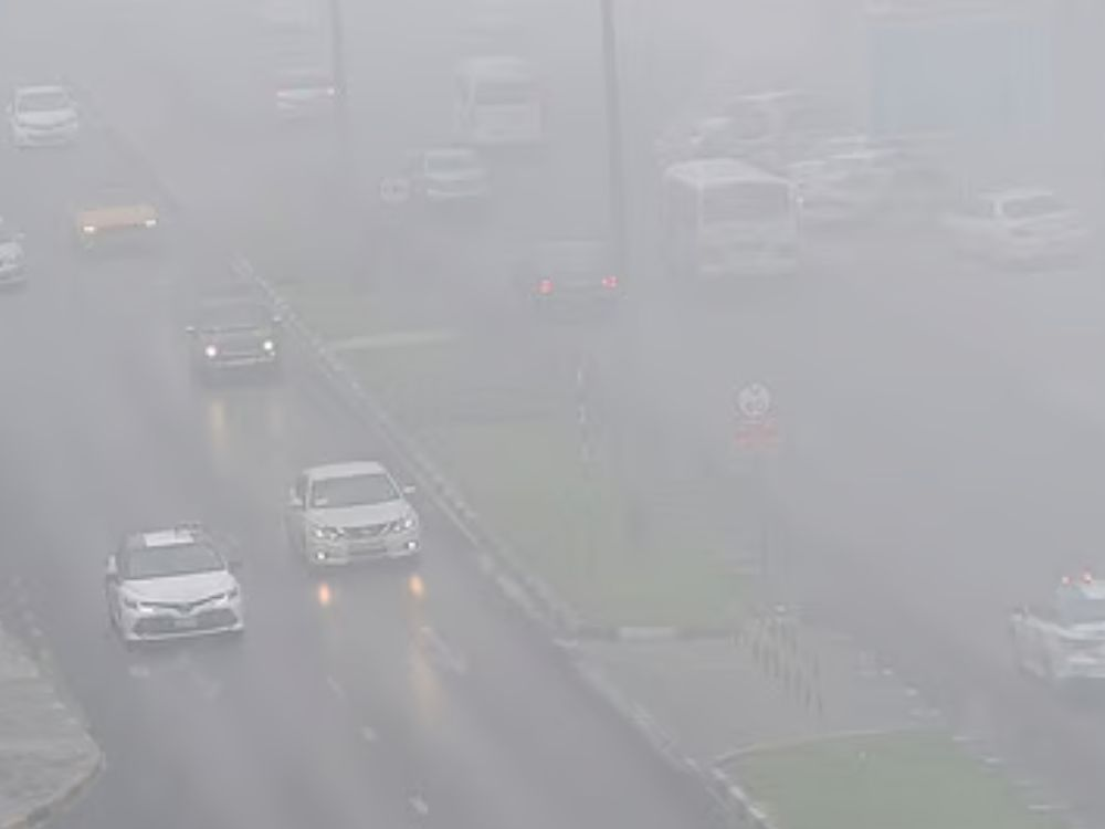 UAE Weather Alert: Dense Fog in Abu Dhabi.
