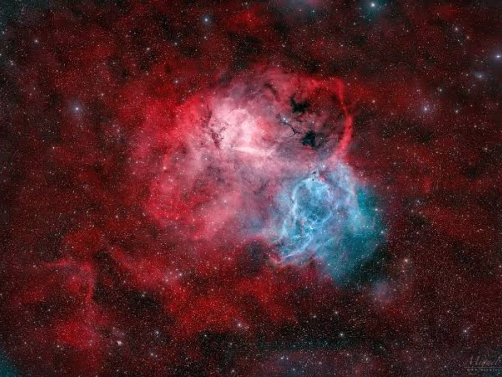 2. Close-up Lion Nebula image captured by UAE observatory showing red and blue gas clouds.