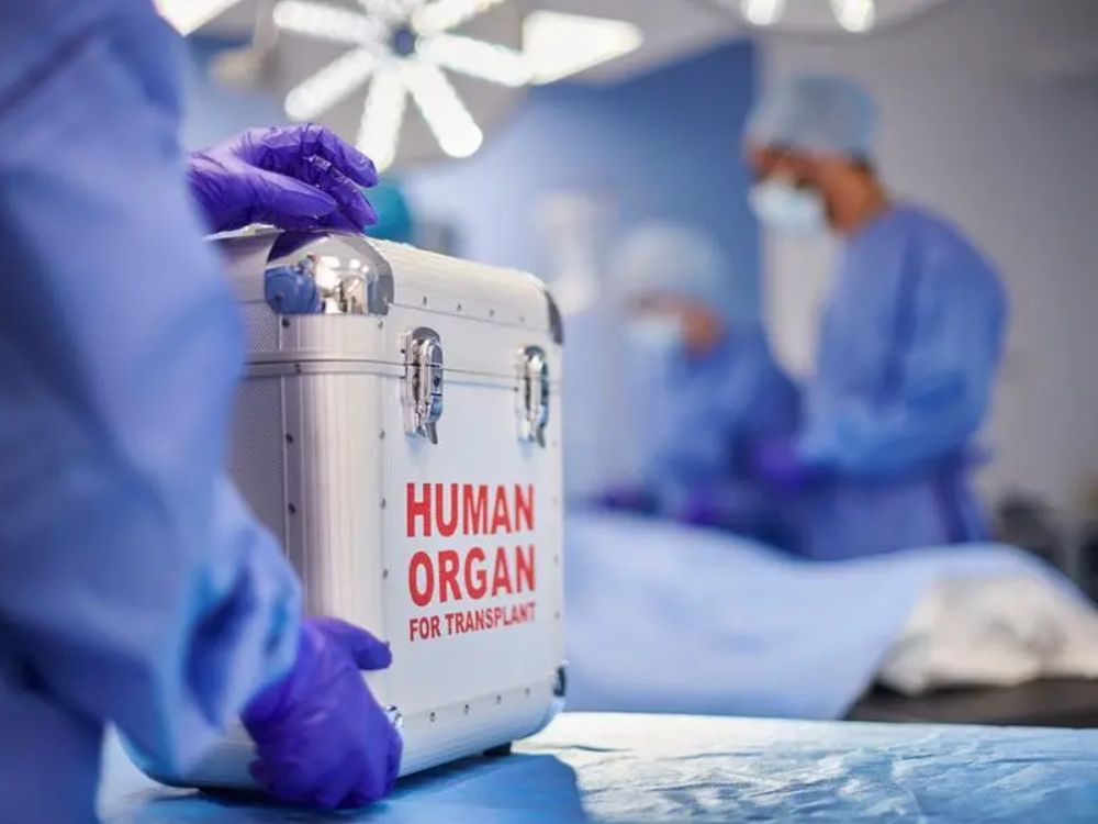 UAE Ranks First Globally in Growth of Organ Donors .