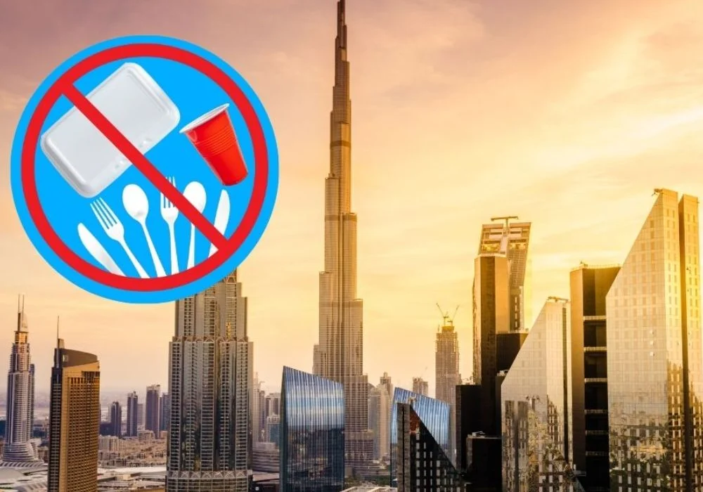 Dubai announced plastic ban 2026 .
