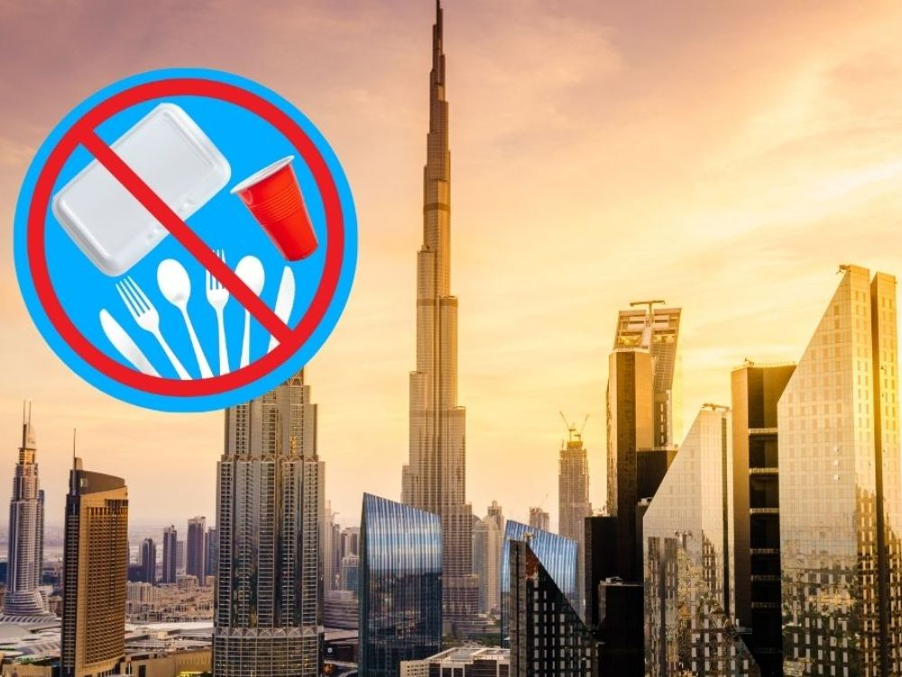 Dubai announced plastic ban 2026 .